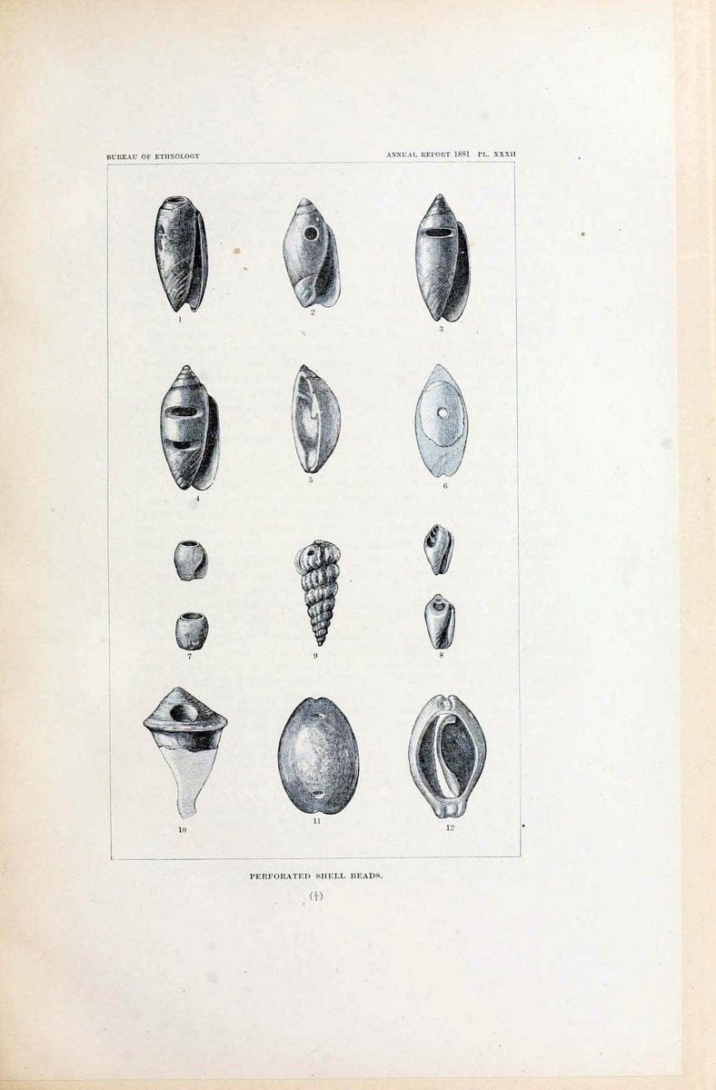 Art in shell of the ancient Americans. Washington,Govt. Print. Off.,1883.  | Antiquities "Indian art" Indians "Shells in art" | Vintage Print Reproduction 458282