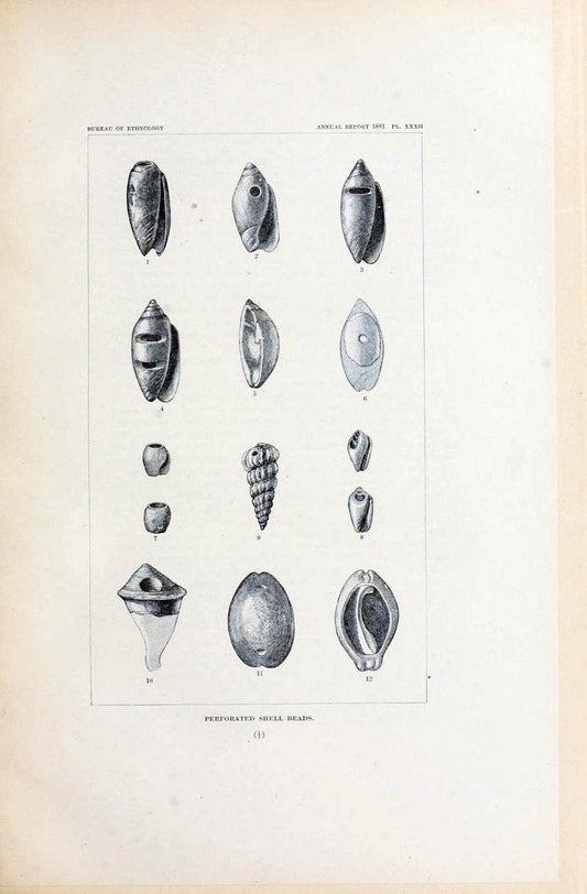 Art in shell of the ancient Americans. Washington,Govt. Print. Off.,1883.  | Antiquities "Indian art" Indians "Shells in art" | Vintage Print Reproduction 458282