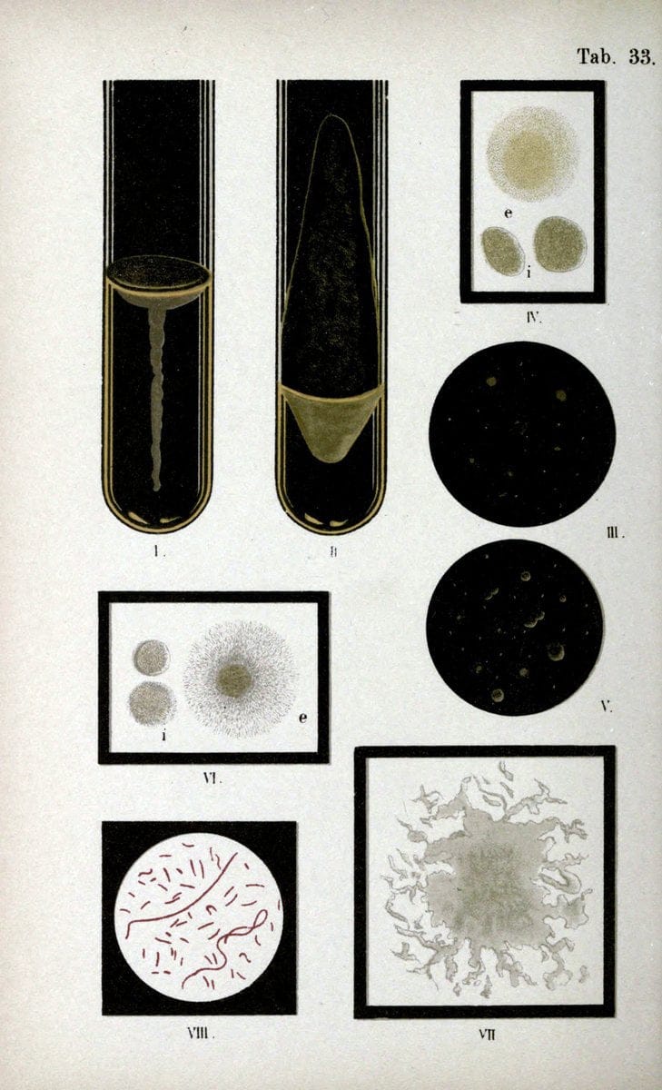 Dragable Image