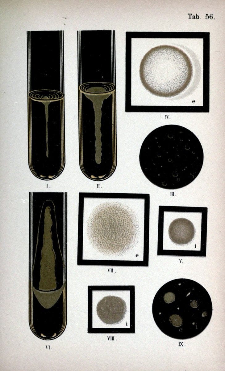 Dragable Image