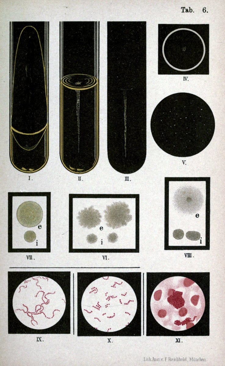 Dragable Image