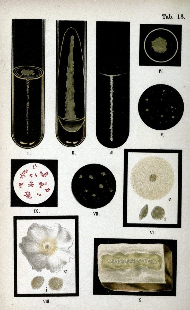 Dragable Image
