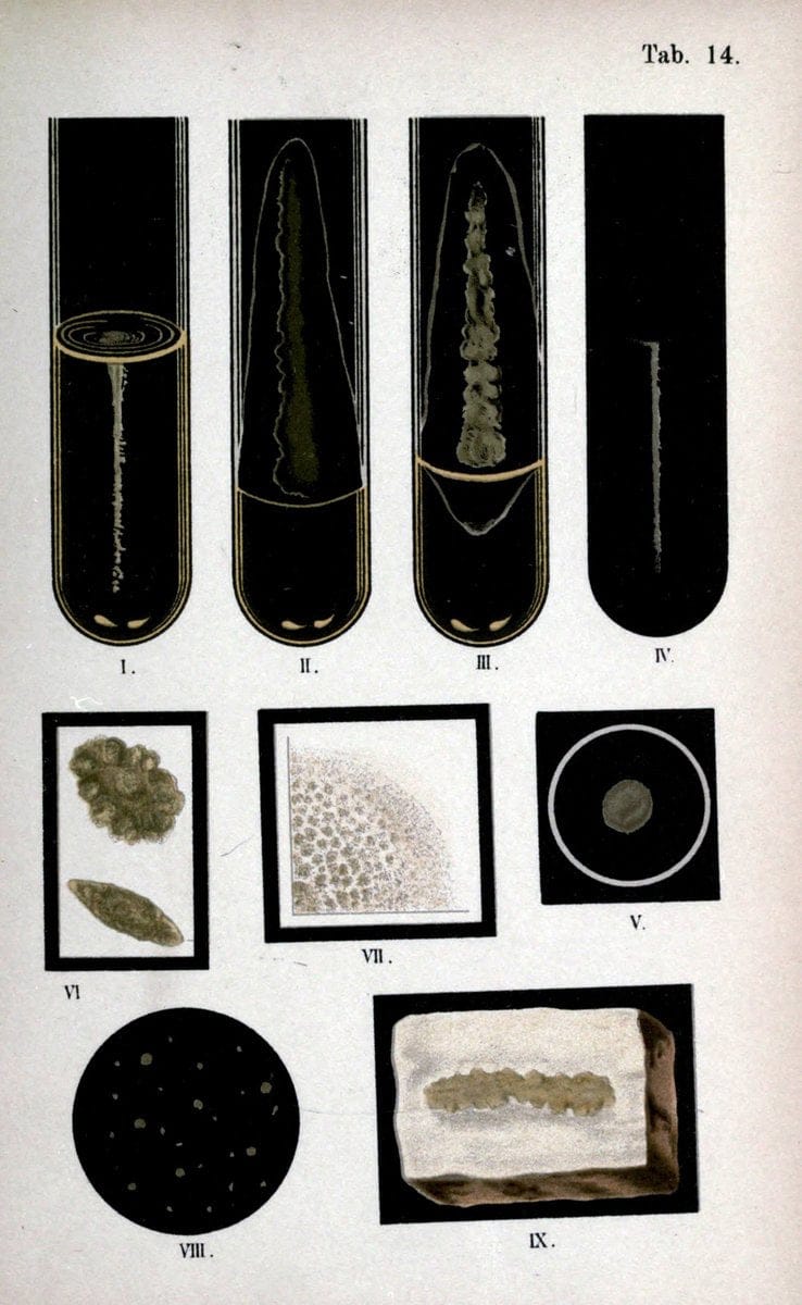 Dragable Image