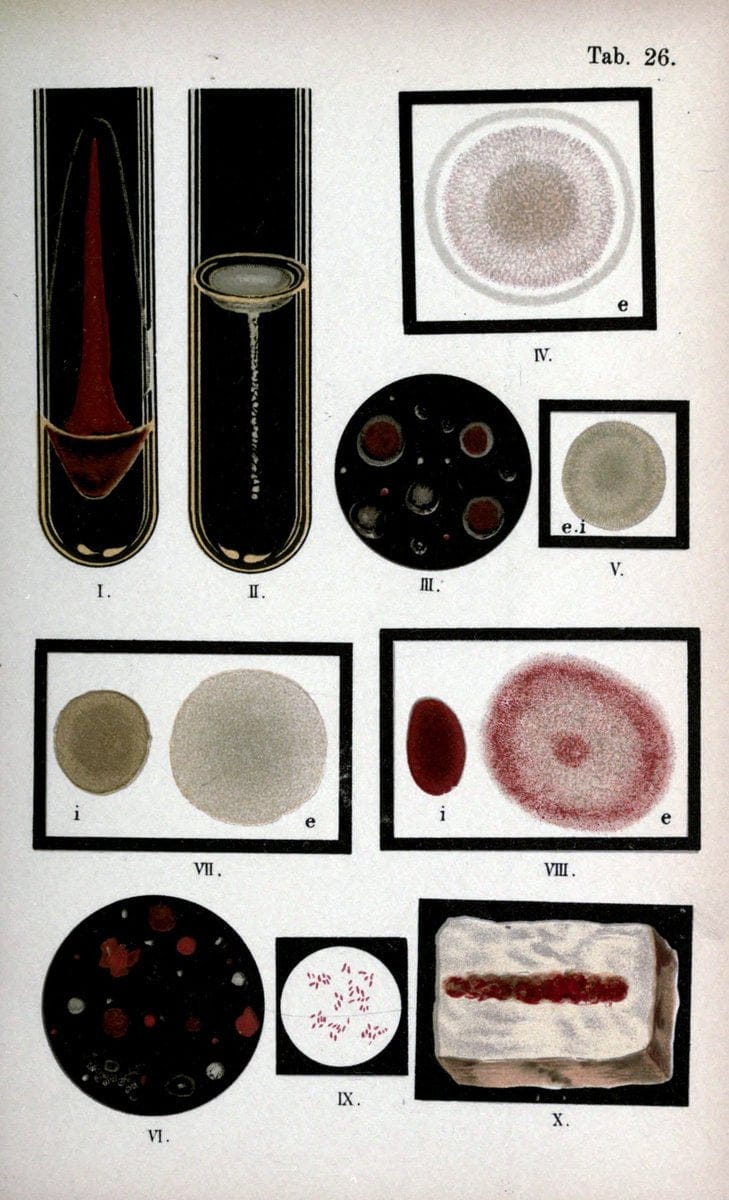 Dragable Image