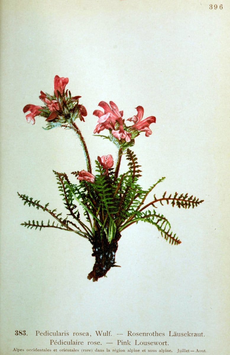 Dragable Image