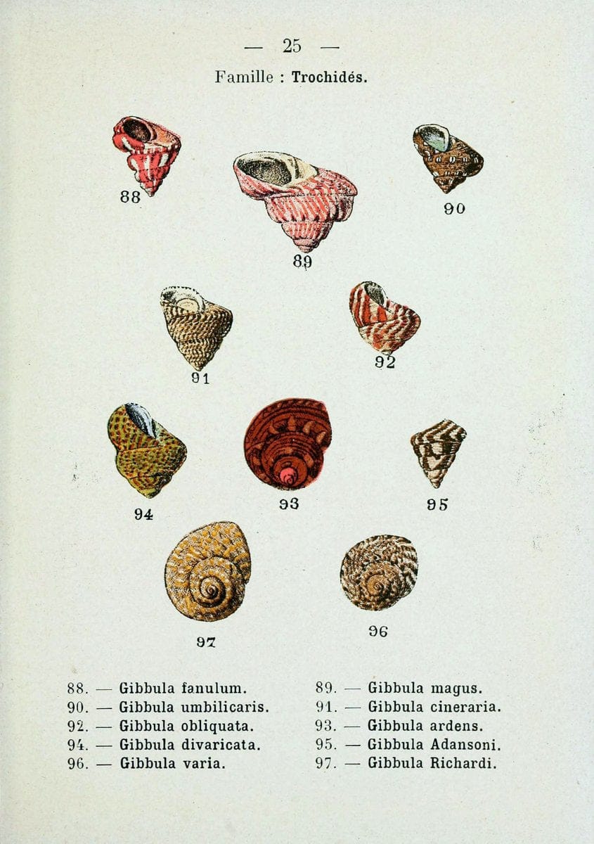 Dragable Image