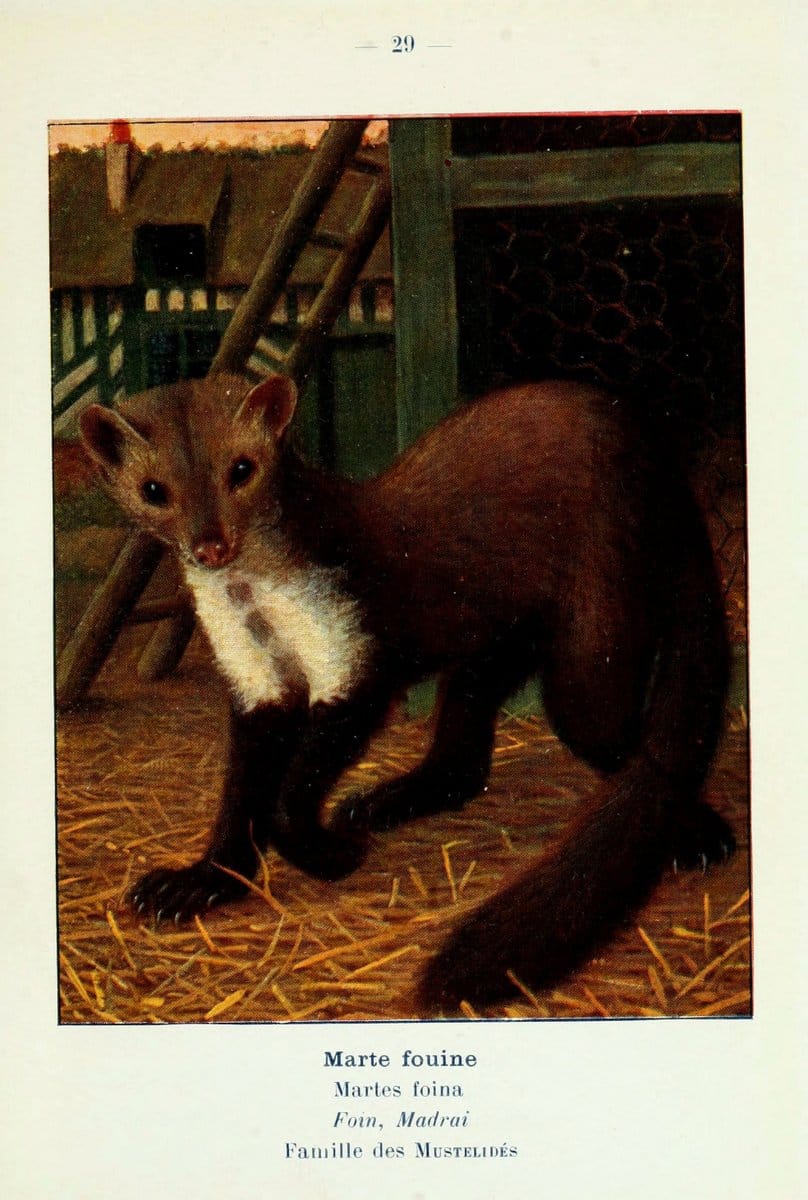 Dragable Image