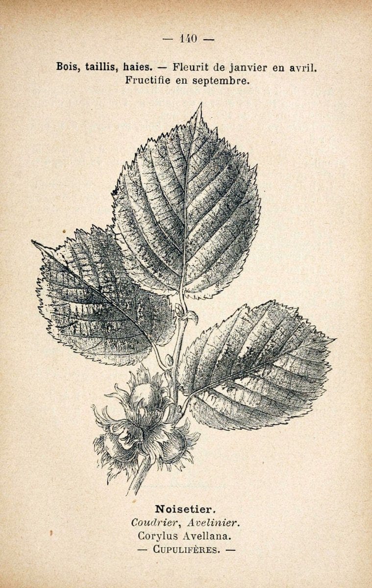 Dragable Image