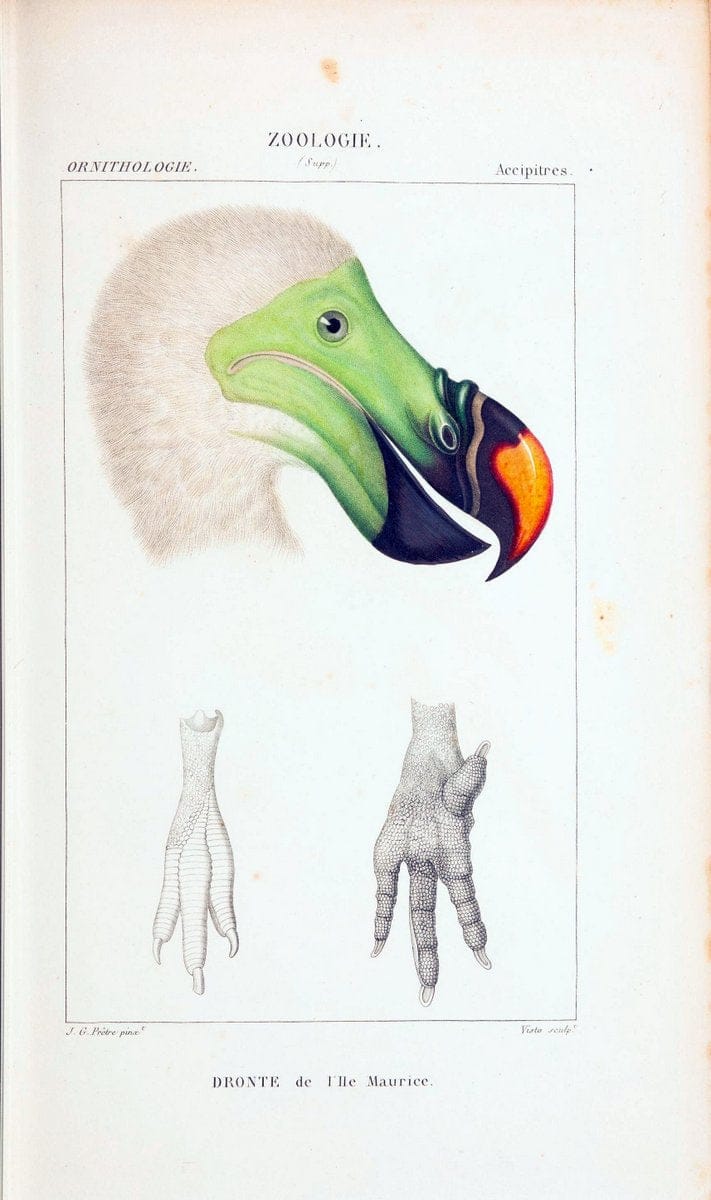 Dragable Image