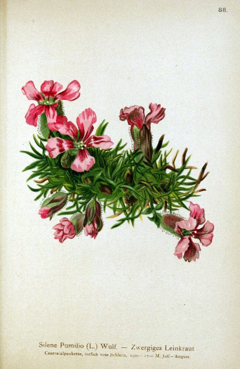 Dragable Image