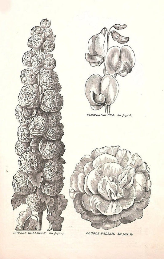 Autumn catalogue of floricultural stock.  /.Buffalo, NY :Long Brothers.  | Vintage Print Reproduction 459909