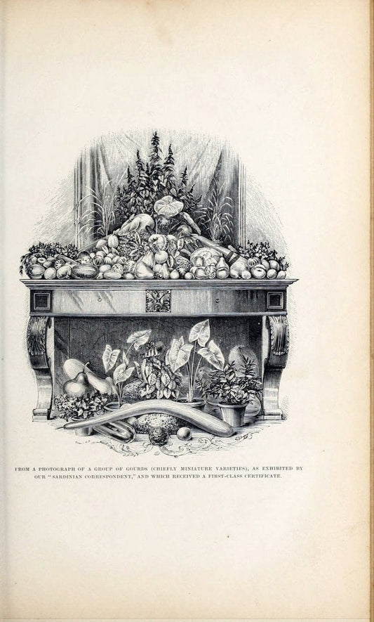 Barr & Sugden's spring seed catalogue and guide to the flower and kitchen garden | "Barr & Sugden"  "Nurseries (Horticulture)" "Nursery stock" "Seed industry and trade" | Vintage Reproduction 460118