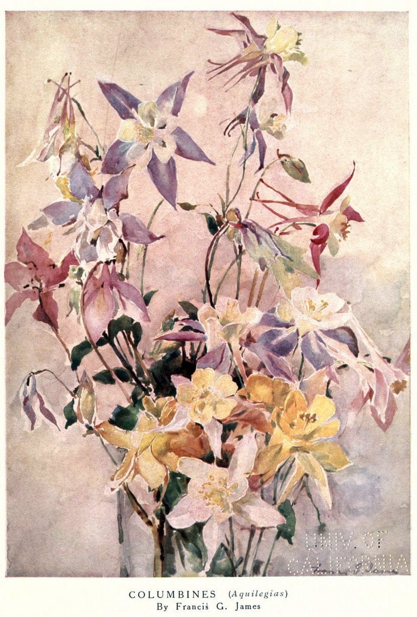 Beautiful flowers and how to grow themEdinburgh,T.C. & E.C. Jack, ltd.,1922. | Floriculture flowers "University of California Libraries" | Vintage Print Reproduction 460160