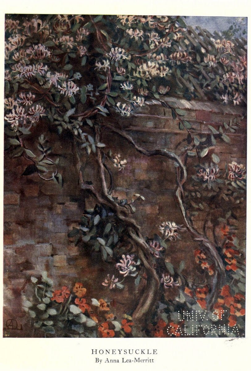 Dragable Image