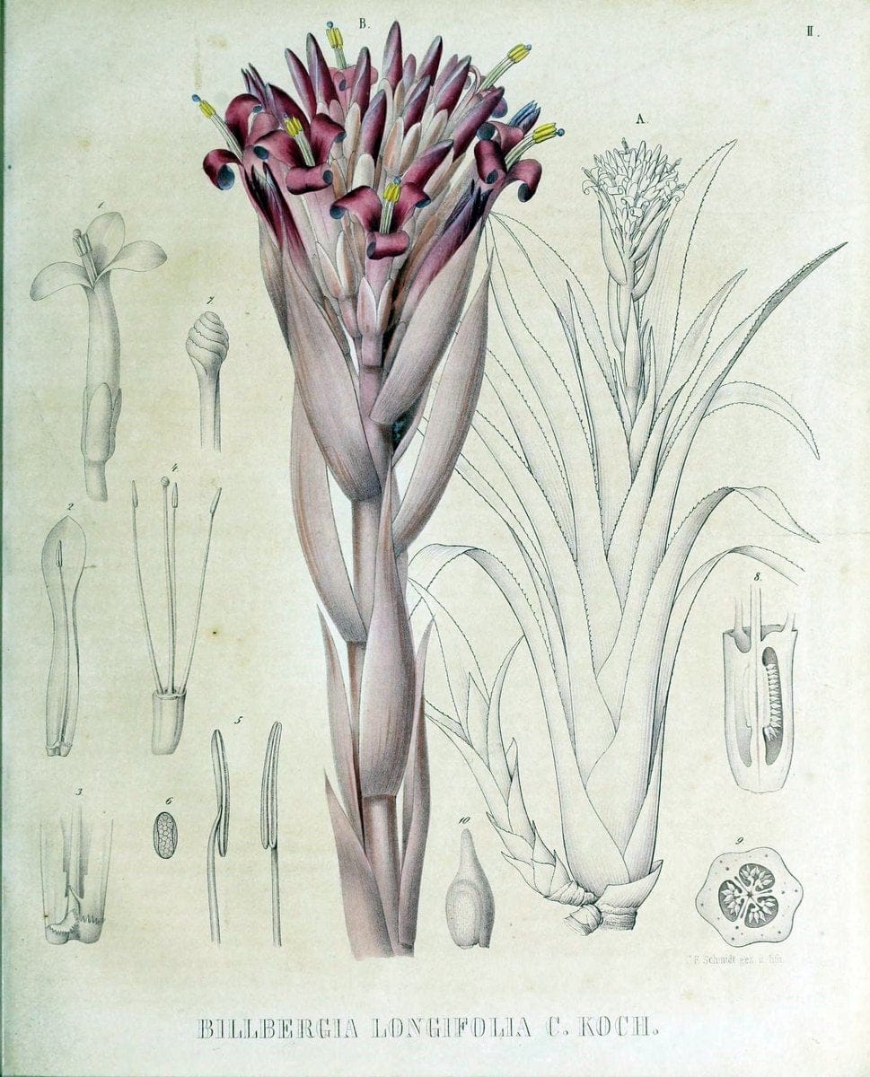 Dragable Image