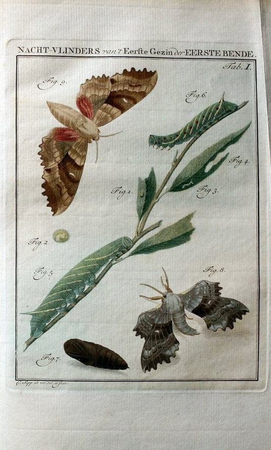 Beschouwing der wonderen Gods :.Amsterdam :J.C. Sepp,[1762-1860]. |  | Vintage Print Reproduction 460420