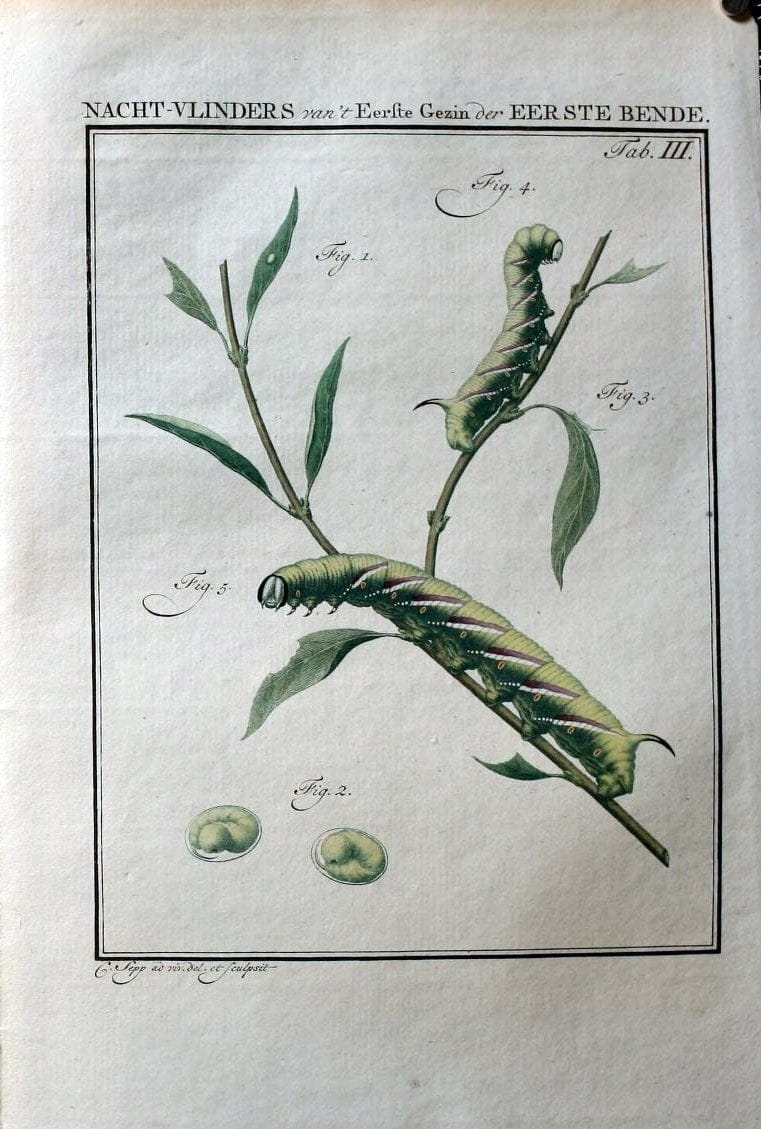 Beschouwing der wonderen Gods :.Amsterdam :J.C. Sepp,[1762-1860]. |  | Vintage Print Reproduction 460422