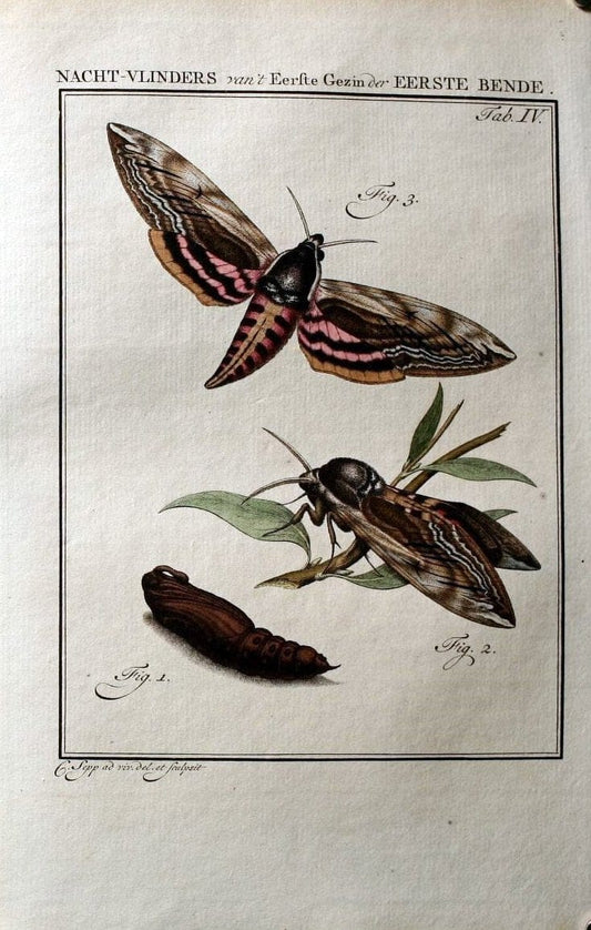 Beschouwing der wonderen Gods :.Amsterdam :J.C. Sepp,[1762-1860]. |  | Vintage Print Reproduction 460423