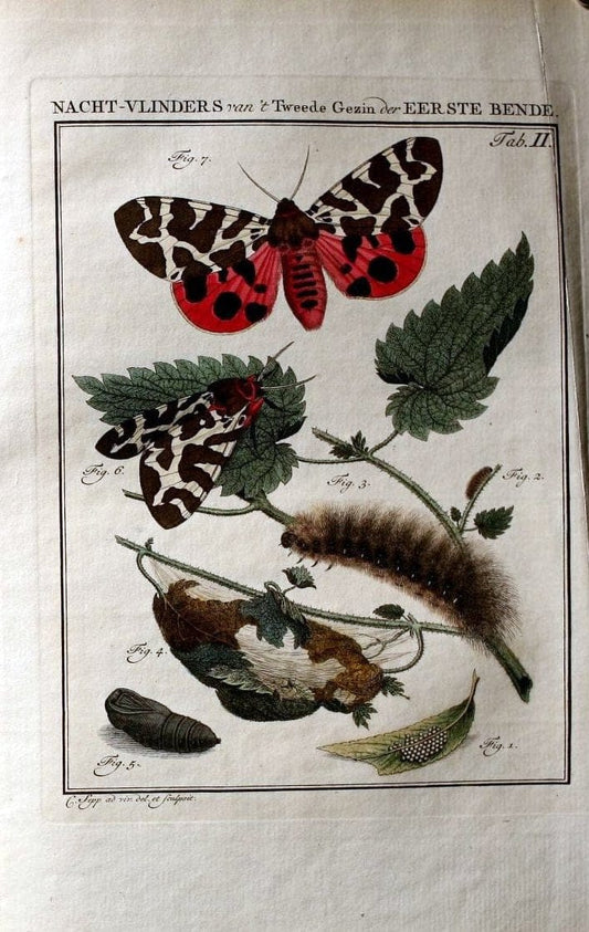 Beschouwing der wonderen Gods :.Amsterdam :J.C. Sepp,[1762-1860]. |  | Vintage Print Reproduction 460427
