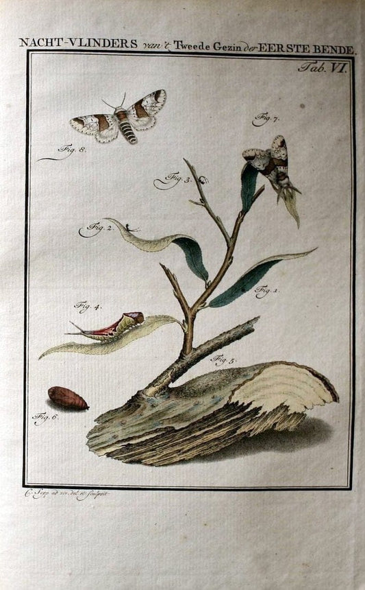 Beschouwing der wonderen Gods :.Amsterdam :J.C. Sepp,[1762-1860]. |  | Vintage Print Reproduction 460431