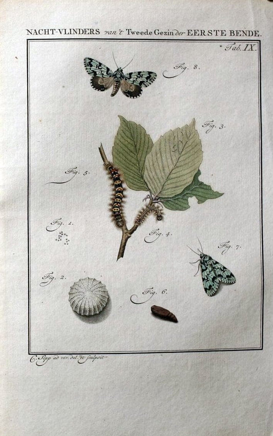 Beschouwing der wonderen Gods :.Amsterdam :J.C. Sepp,[1762-1860]. |  | Vintage Print Reproduction 460434