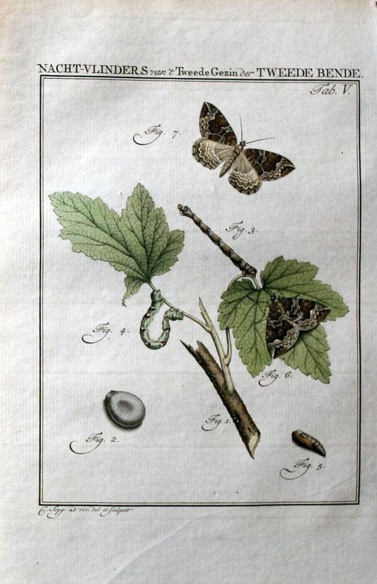 Beschouwing der wonderen Gods :.Amsterdam :J.C. Sepp,[1762-1860]. |  | Vintage Print Reproduction 460446