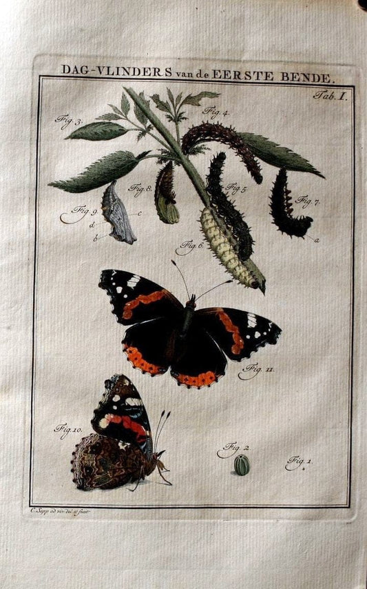 Beschouwing der wonderen Gods :.Amsterdam :J.C. Sepp,[1762-1860]. |  | Vintage Print Reproduction 460455