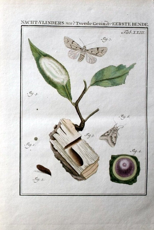 Beschouwing der wonderen Gods :.Amsterdam :J.C. Sepp,[1762-1860]. |  | Vintage Print Reproduction 460459