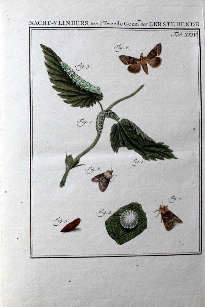 Beschouwing der wonderen Gods :.Amsterdam :J.C. Sepp,[1762-1860]. |  | Vintage Print Reproduction 460460