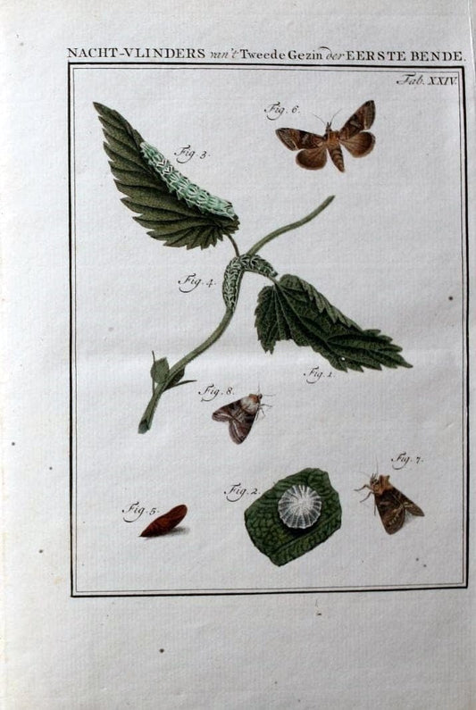 Beschouwing der wonderen Gods :.Amsterdam :J.C. Sepp,[1762-1860]. |  | Vintage Print Reproduction 460460