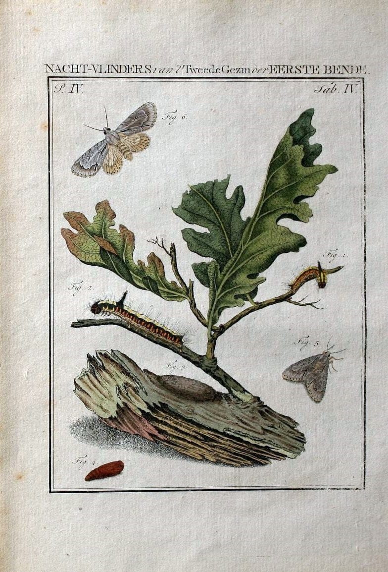 Beschouwing der wonderen Gods :.Amsterdam :J.C. Sepp,[1762-1860]. |  | Vintage Print Reproduction 460462