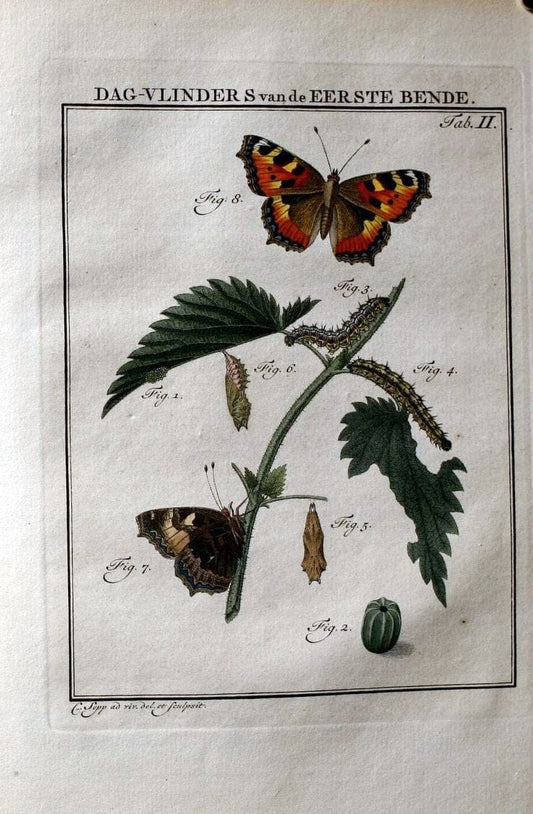 Beschouwing der wonderen Gods :.Amsterdam :J.C. Sepp,[1762-1860]. |  | Vintage Print Reproduction 460463