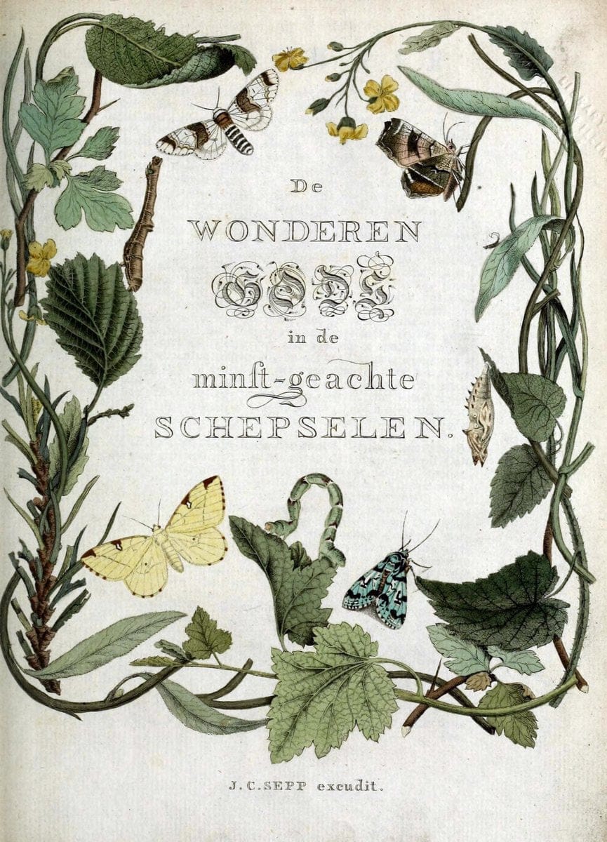 Beschouwing der wonderen Gods :.Amsterdam :J.C. Sepp,[1762-1860]. |  | Vintage Print Reproduction 460472