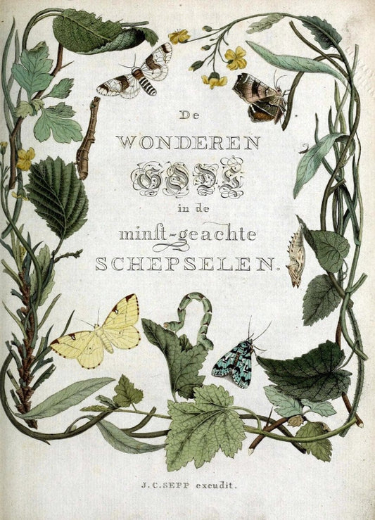 Beschouwing der wonderen Gods :.Amsterdam :J.C. Sepp,[1762-1860]. |  | Vintage Print Reproduction 460472