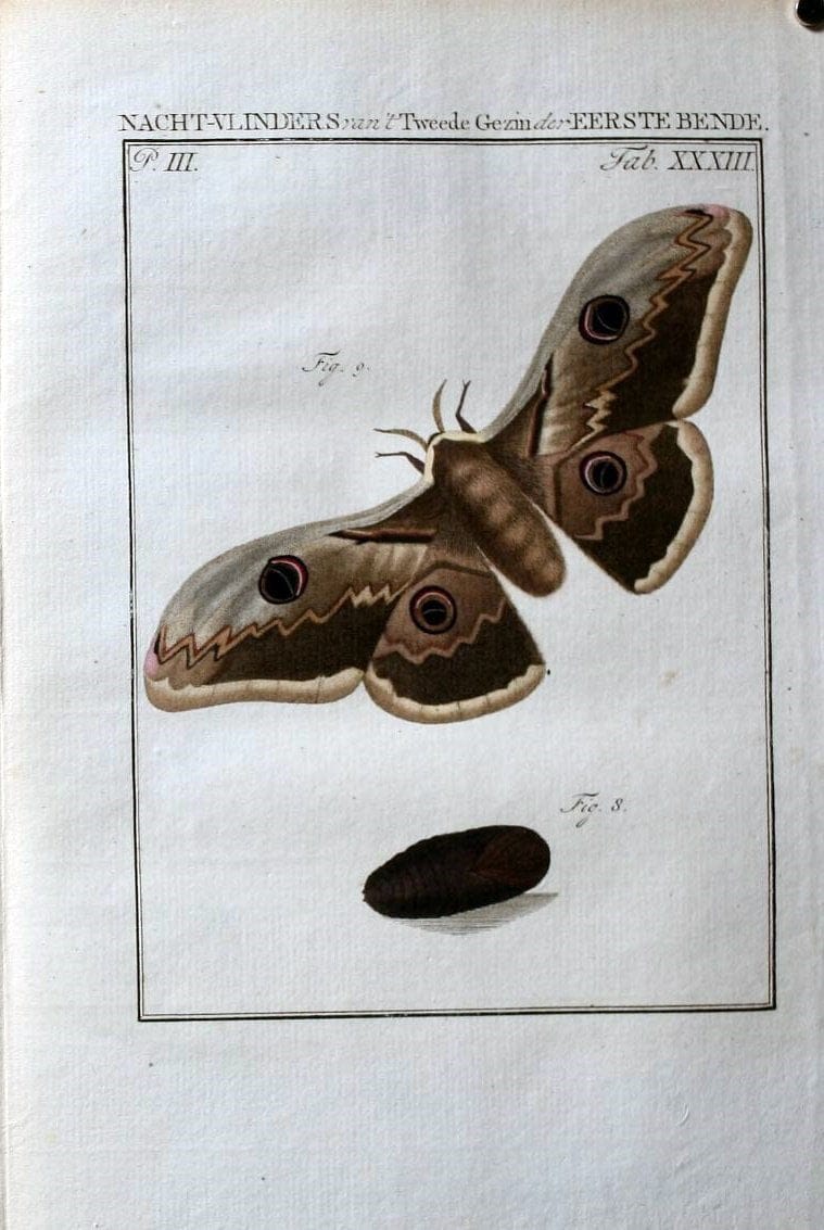 Dragable Image