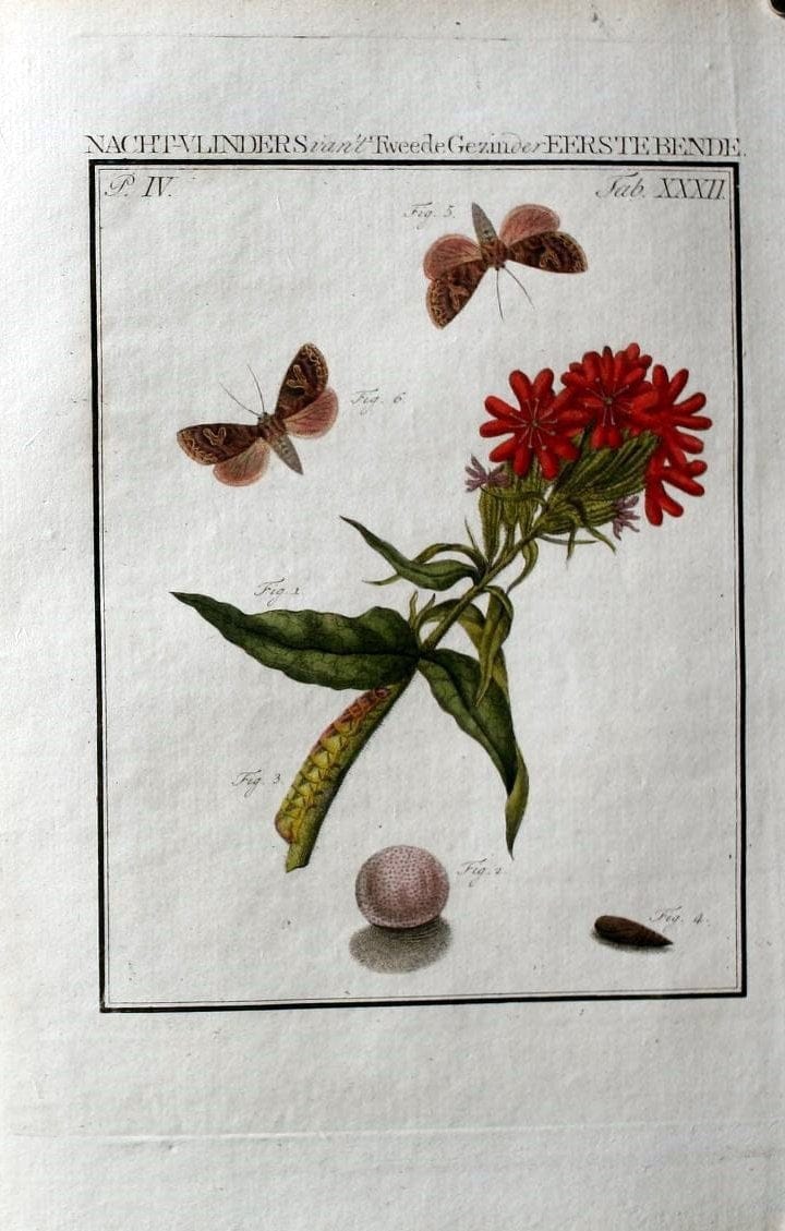 Dragable Image