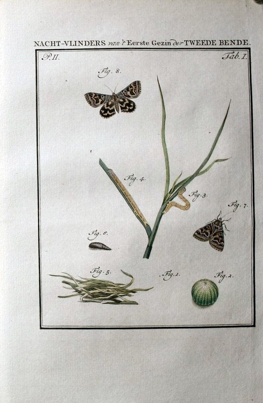 Beschouwing der wonderen Gods :.Amsterdam :J.C. Sepp,[1762-1860]. | Entomology Netherlands "University of Illinois Urbana Champaign" | Vintage Print Reproduction 460552