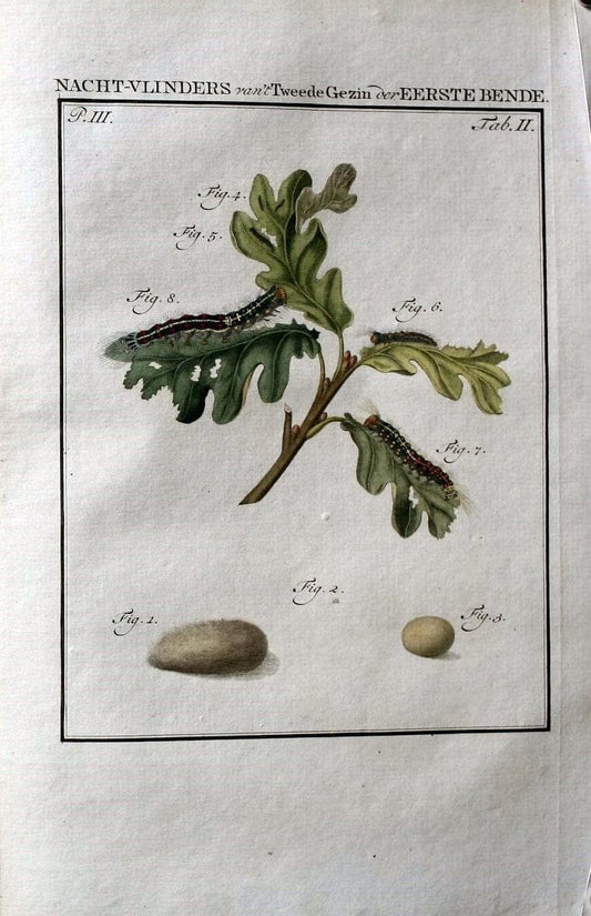 Beschouwing der wonderen Gods :.Amsterdam :J.C. Sepp,[1762-1860]. | Entomology Netherlands "University of Illinois Urbana Champaign" | Vintage Print Reproduction 460599