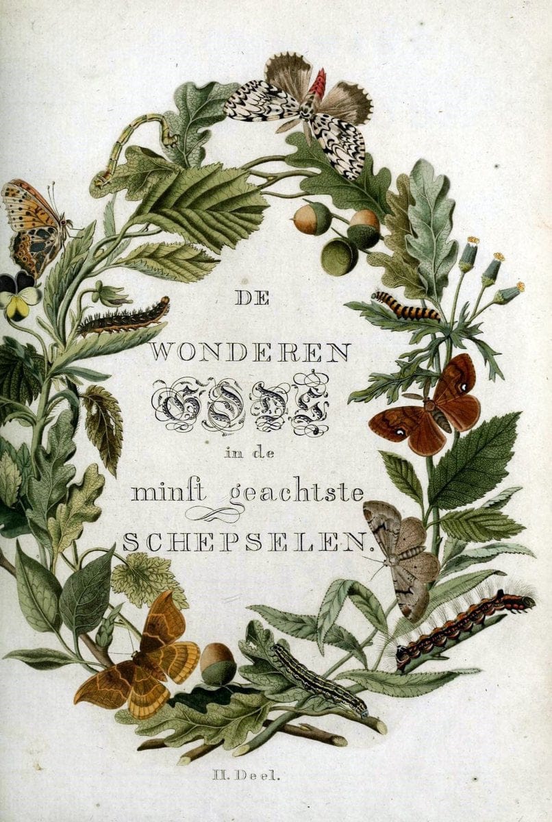 Beschouwing der wonderen Gods :.Amsterdam :J.C. Sepp,[1762-1860]. | Entomology Netherlands "University of Illinois Urbana Champaign" | Vintage Print Reproduction 460611