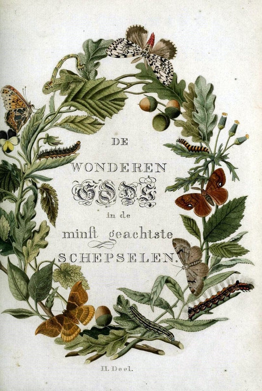 Beschouwing der wonderen Gods :.Amsterdam :J.C. Sepp,[1762-1860]. | Entomology Netherlands "University of Illinois Urbana Champaign" | Vintage Print Reproduction 460611