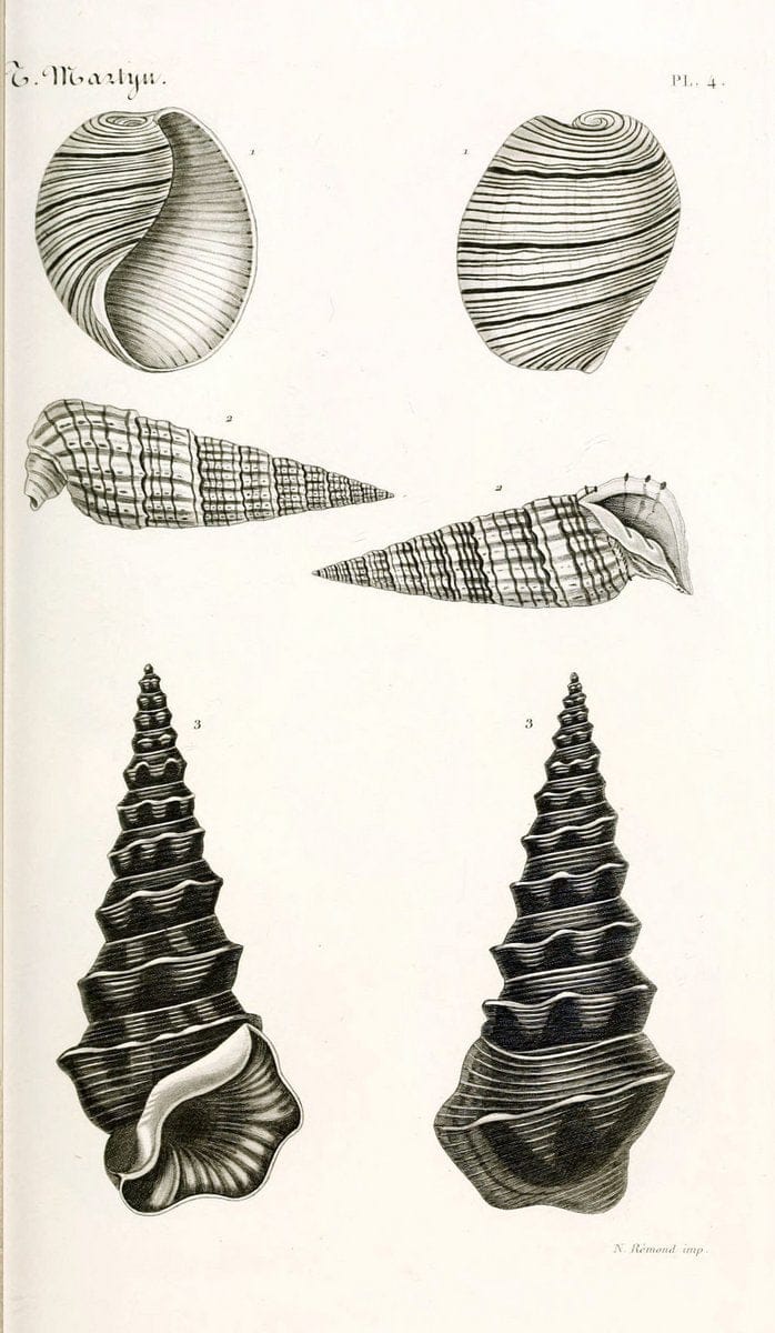 Dragable Image