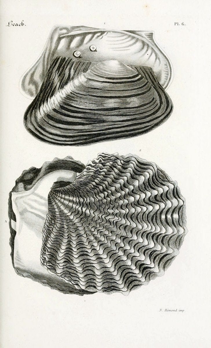 Dragable Image