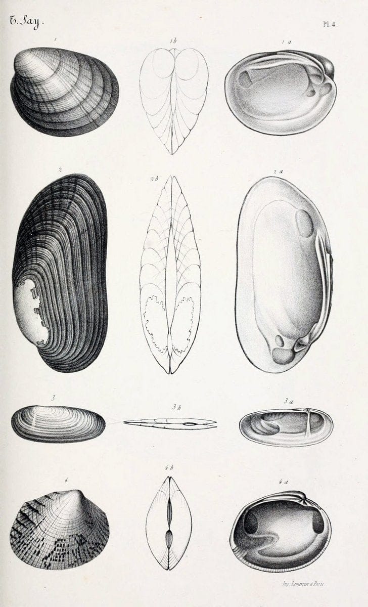 Dragable Image