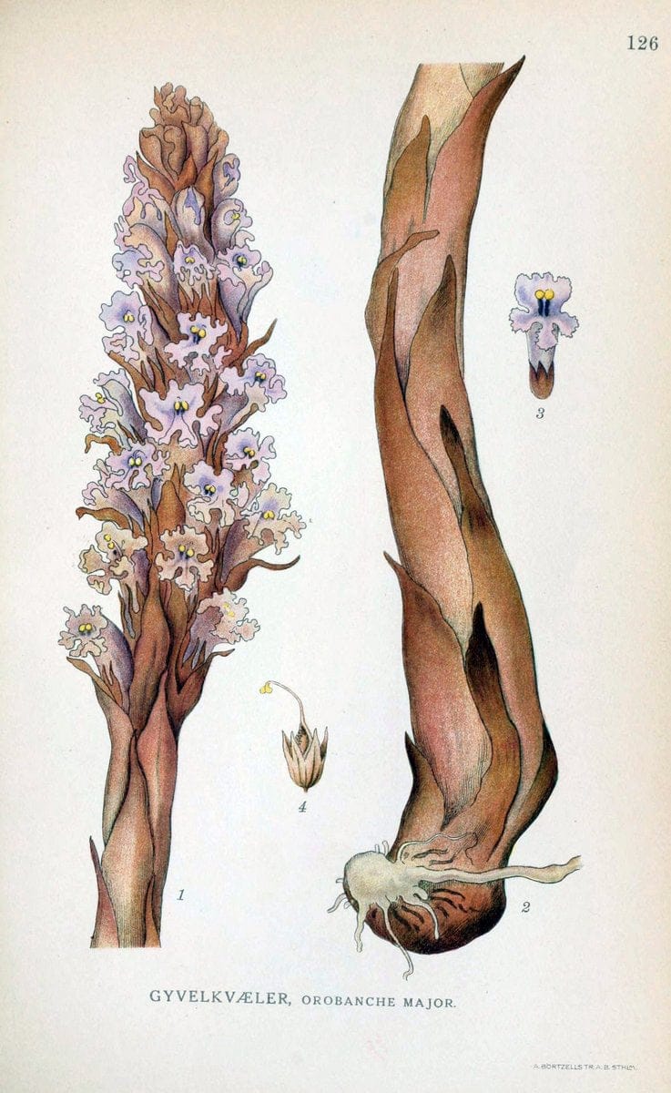 Dragable Image