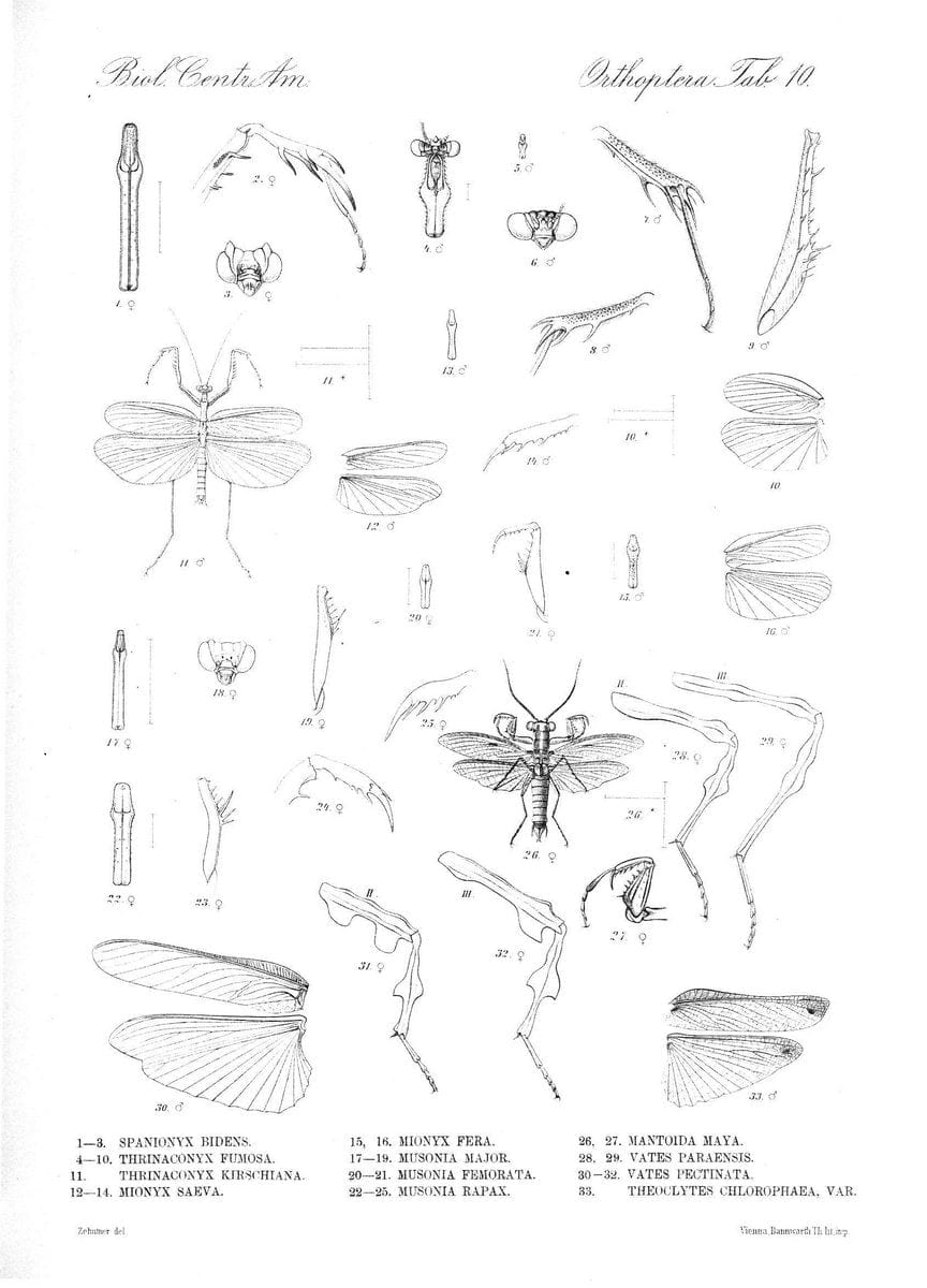 Dragable Image