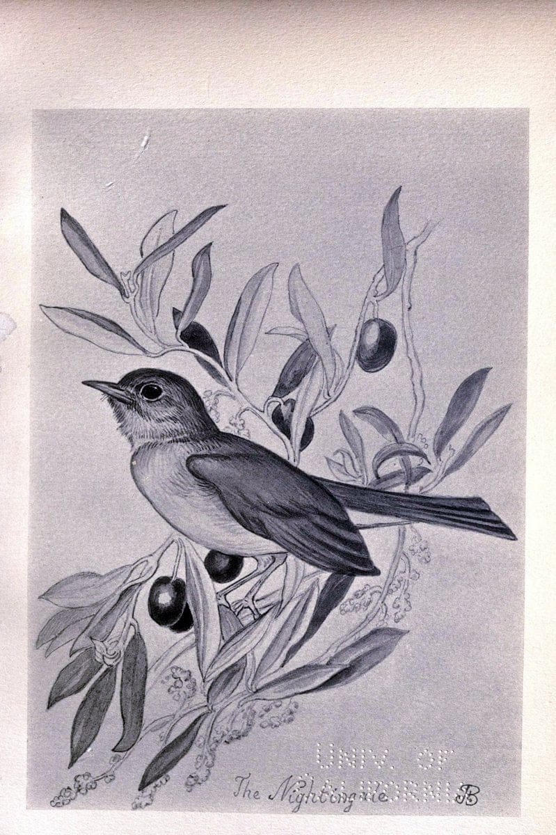 Dragable Image