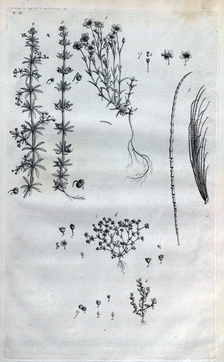 Dragable Image