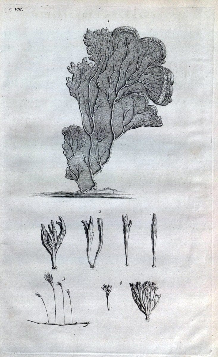 Dragable Image