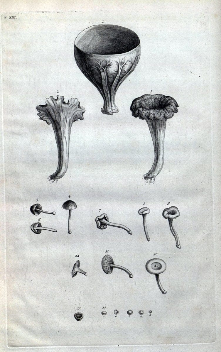 Dragable Image
