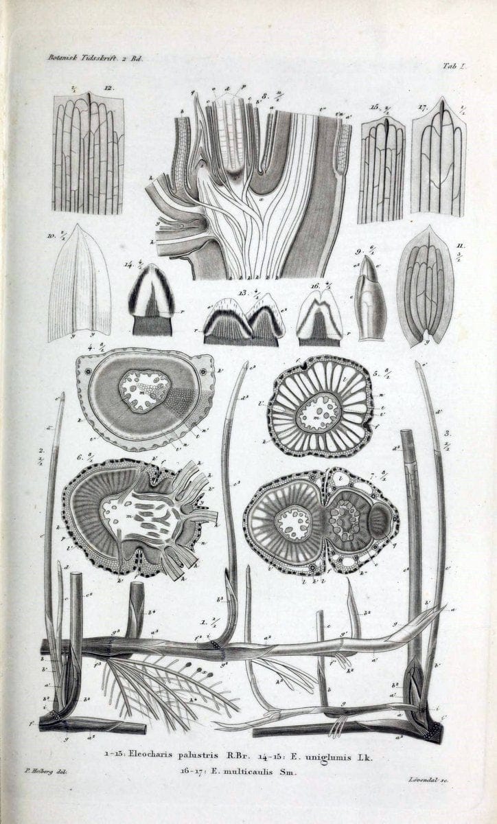 Dragable Image